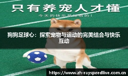 狗狗足球心：探索宠物与运动的完美结合与快乐互动
